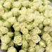 Букет из 51 ветки белых кустовых роз 